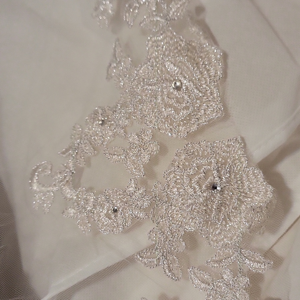 Veil - Picture 2 of 3